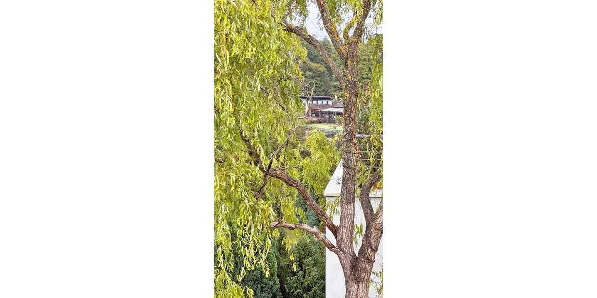 Seeblick---Dachterasse