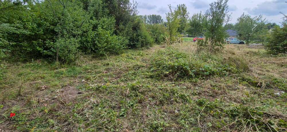 Grundstücksfoto_02